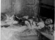 Mary Jane Kelly - 9th November 1888 - Butchered, Throat slashed