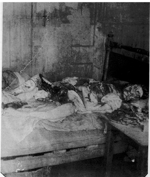 Mary Jane Kelly - 9th November 1888 - Butchered, Throat slashed